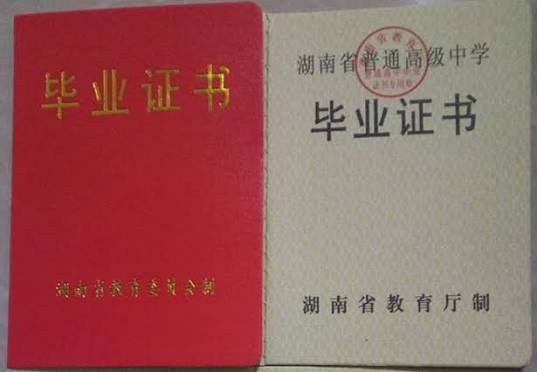 护照证件案例